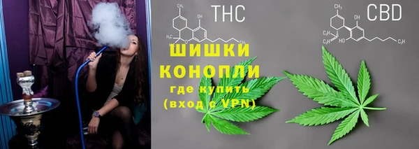 стаф Елабуга