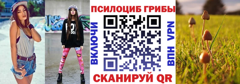 купить наркотики сайты  мориарти как зайти  Галлюциногенные грибы Psilocybe  Ясный 